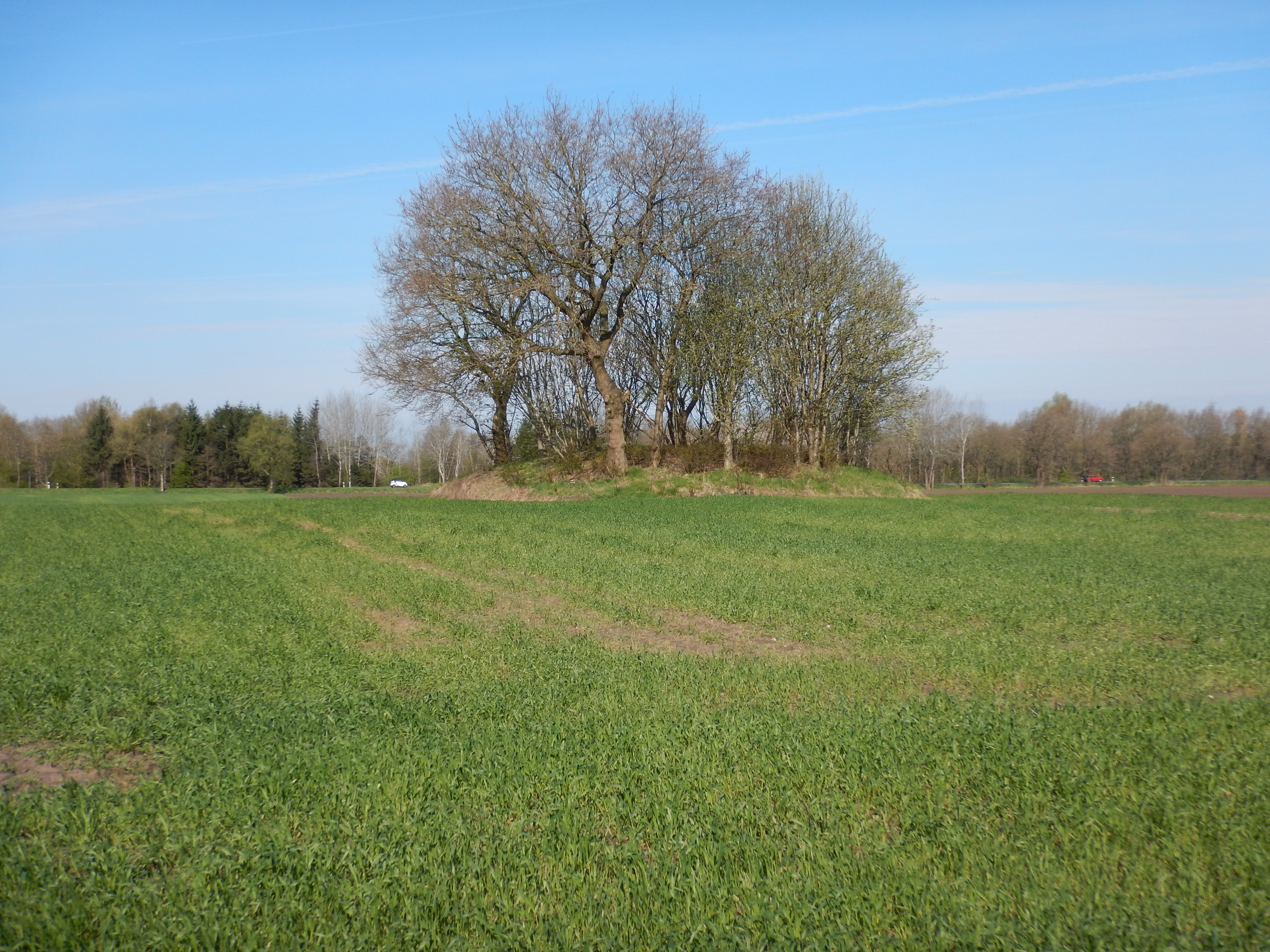 Der Grabhügel ›Kallenberg‹ in der Gemarkung Franzenburg in der Ansicht Richtung West. Er ist einer der wenigen noch relativ gut erhaltenen Bestattungshügel in Cuxhaven (Foto: Andreas Wendowski-Schünemann 2017). Der Grabhügel ›Kallenberg‹ in der Gemarkung Franzenburg in der Ansicht Richtung West. Er ist einer der wenigen noch relativ gut erhaltenen Bestattungshügel in Cuxhaven (Foto: Andreas Wendowski-Schünemann 2017).